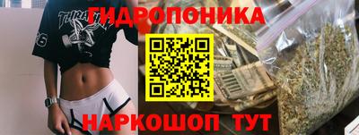 прущие крисы Новокубанск